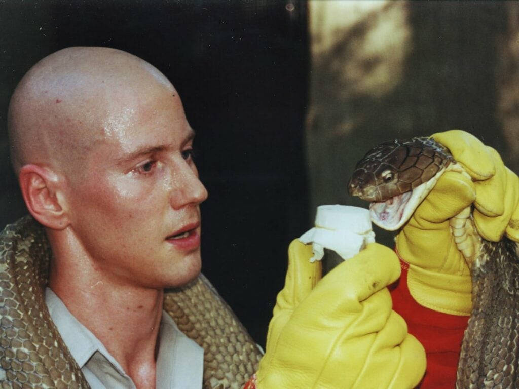 Biologist Bryan Fry extracts venom from a king cobra