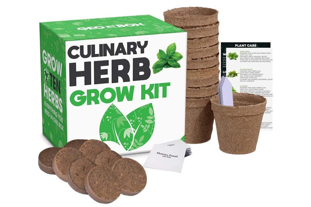 Culinary herb garden kit