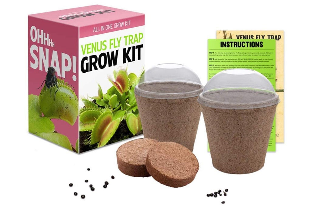 Venus Flytrap Seeds Growing Kit