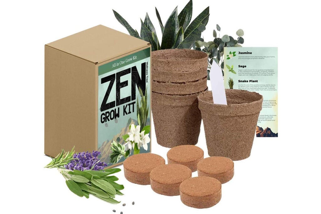 Zen Garden Spiritual Healing Indoor Plants Grow Kit