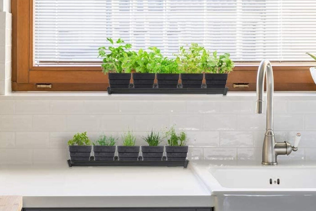 Windowsill Garden Herb Kit