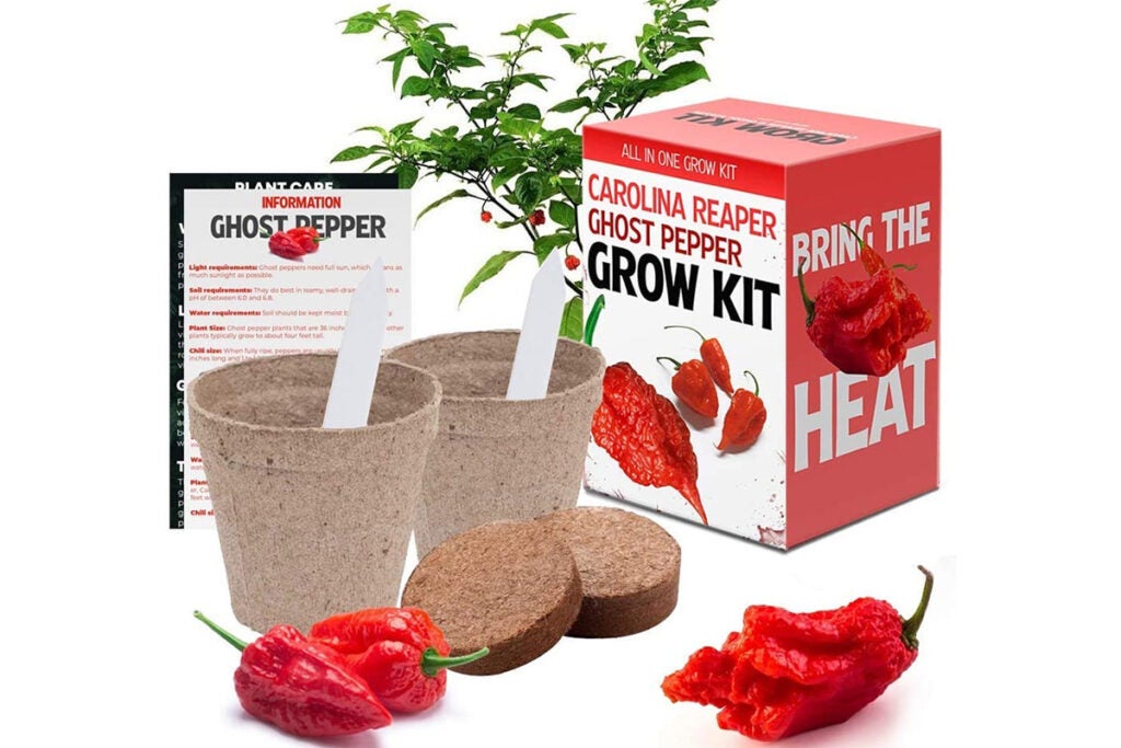 Carolina Reaper and Ghost Pepper Chili Grow Kit